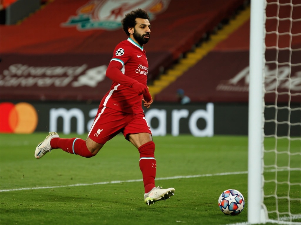 目不暇接 目不暇接